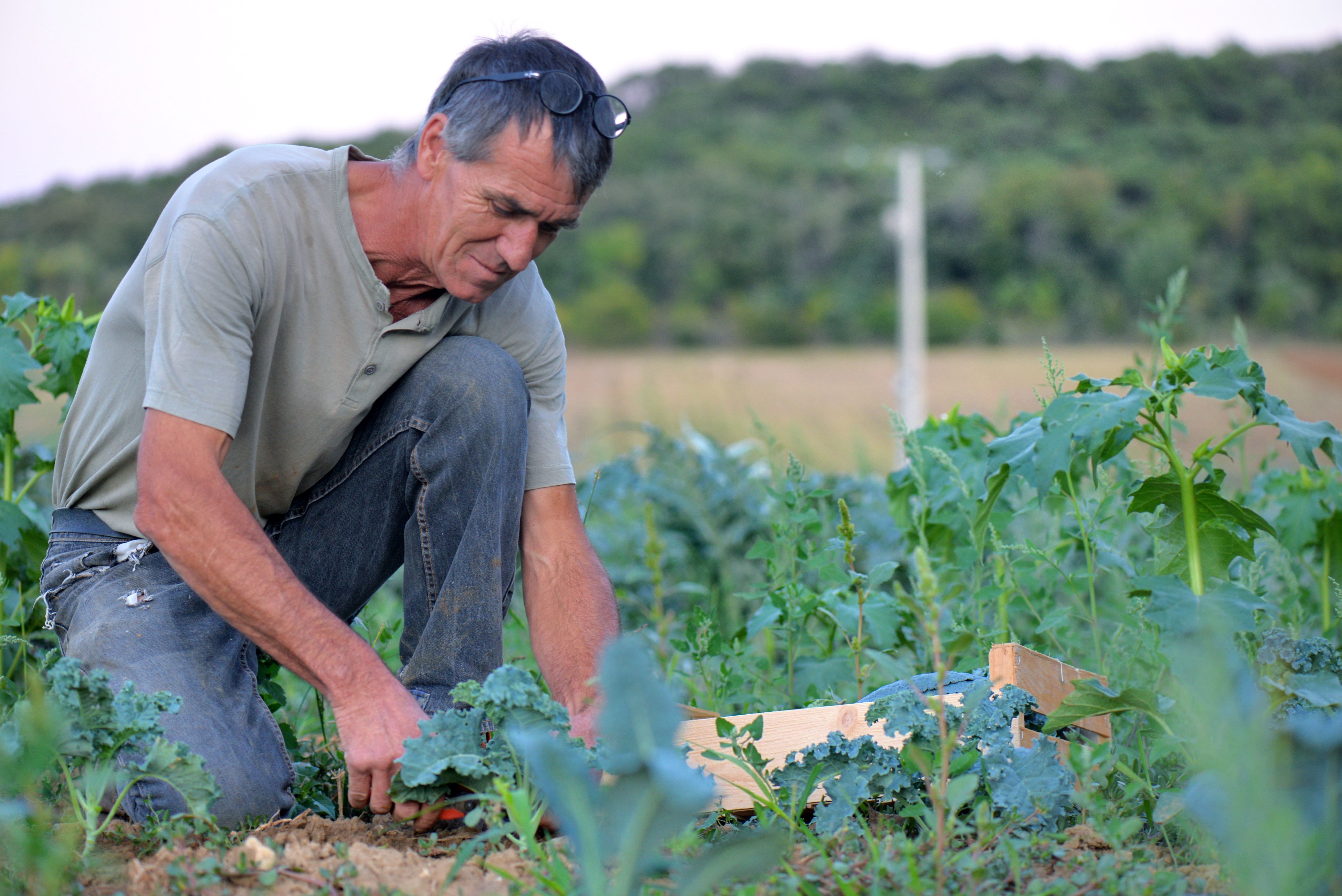 Notre histoire – Ferme Roudol