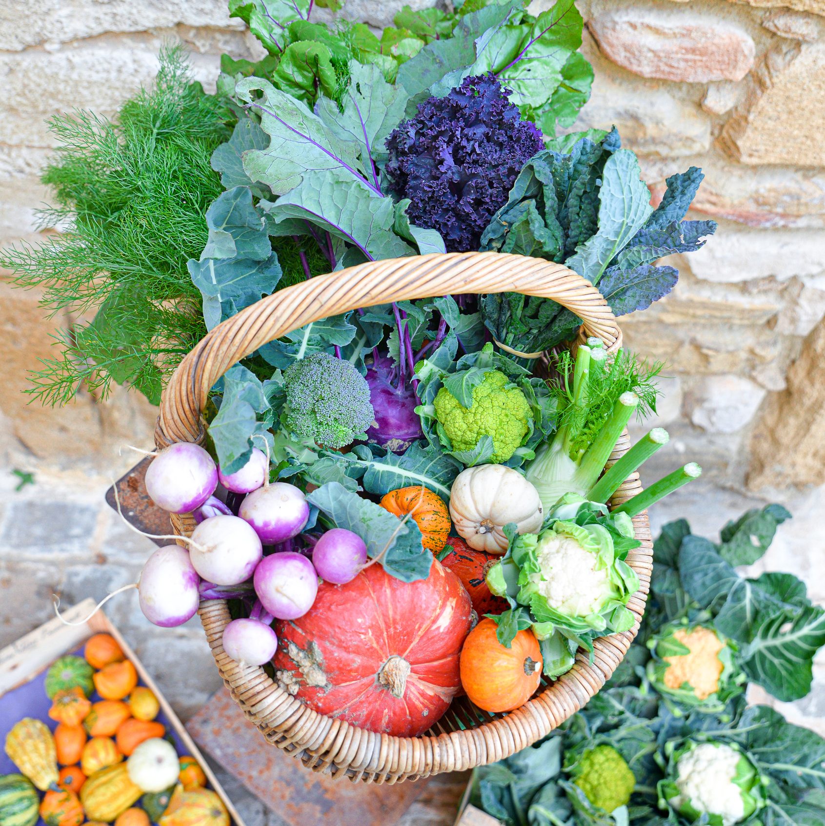 Panier de légumes de la saison automne / hiver